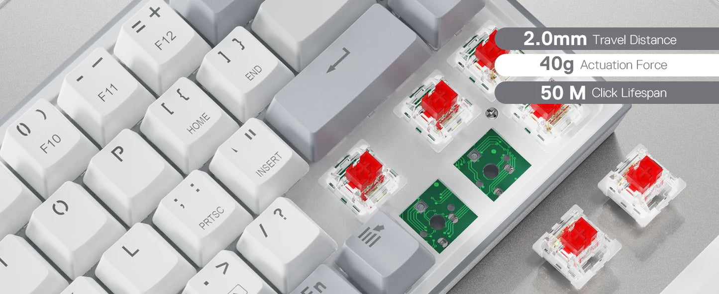 Redragon CASTOR K631 Grey – 65% Wired RGB Gaming Keyboard hosted by Klickiekeyz