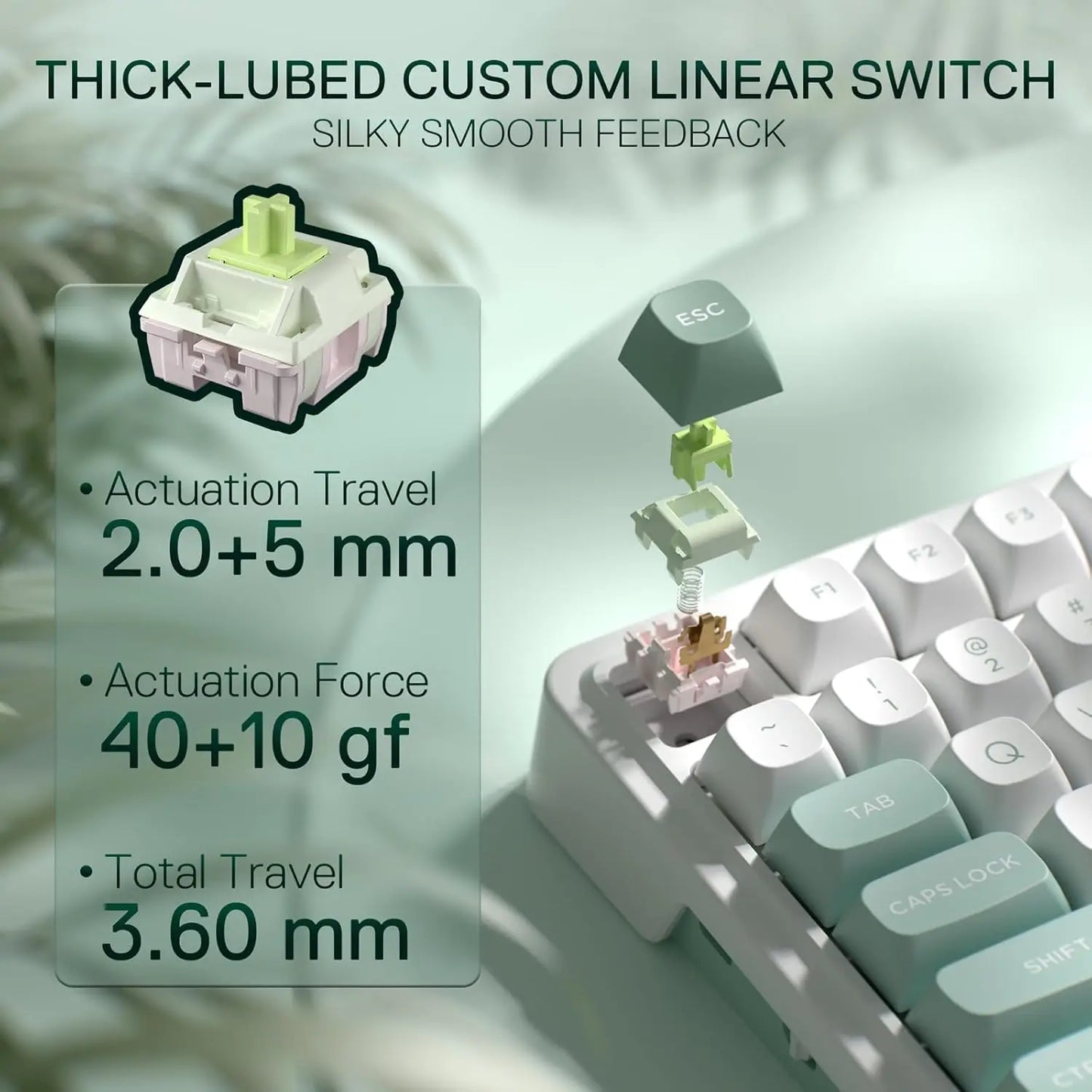 Redragon GALATIN PRO K719 – Full-Size Mechanical Keyboard hosted by Klickiekeyz