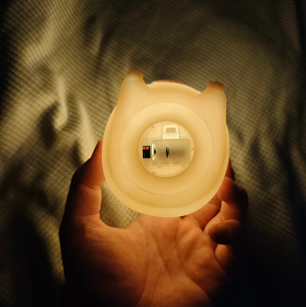 Cute Capybara Silicone Night Light – USB Type-C Rechargeable by KlickieKeyz